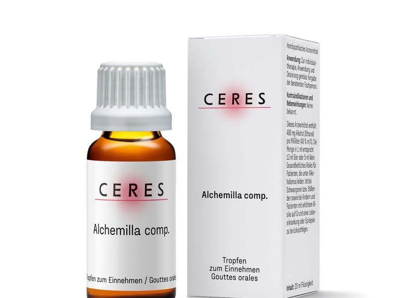 Alchemilla comp. Packshot