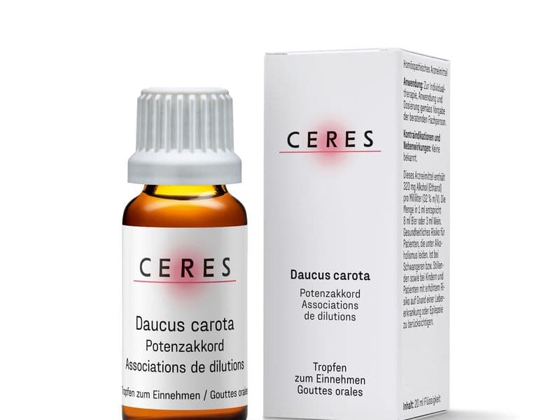 Daucus carota Potenzakkord Packshot