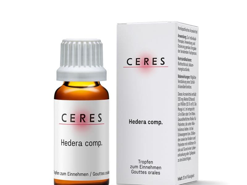 Hedera comp. Packshot