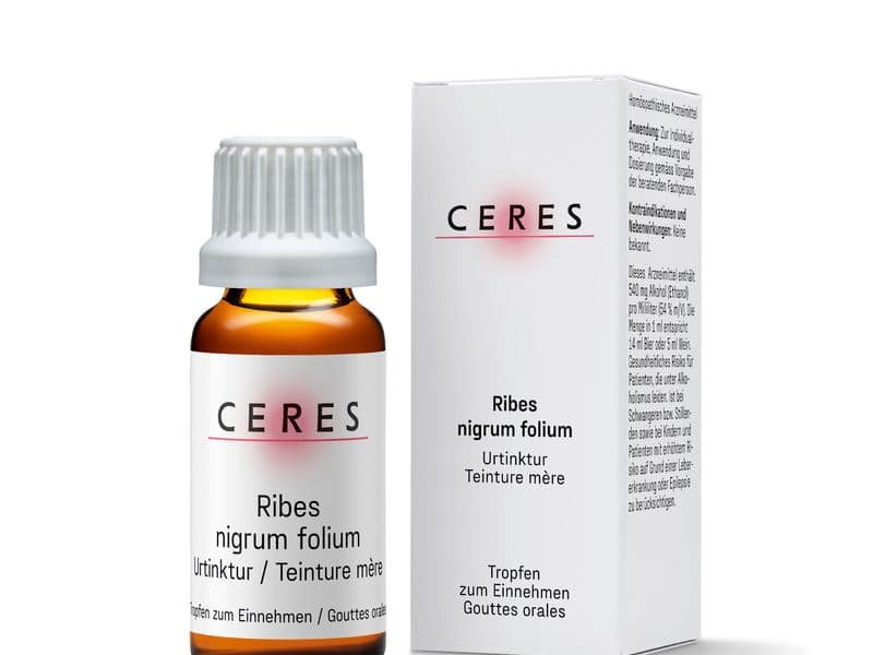 Ribes nigrum folium Urtinktur Packshot