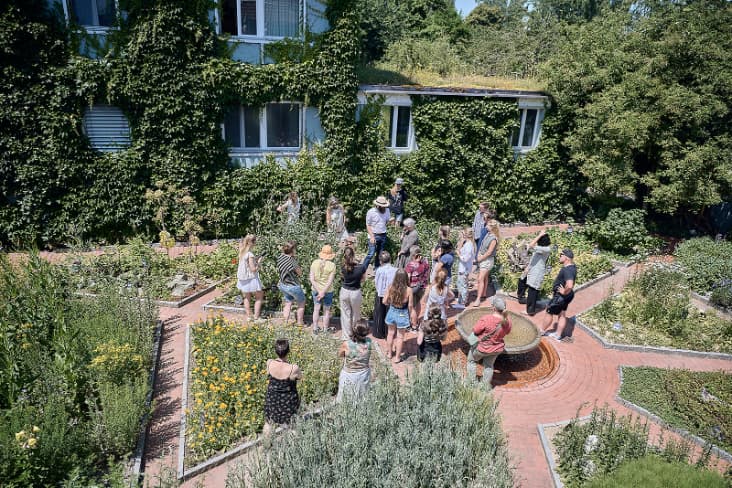 Führung: Ceres Produktion - Von der Heilpflanze zur ganzheitlichen Arznei