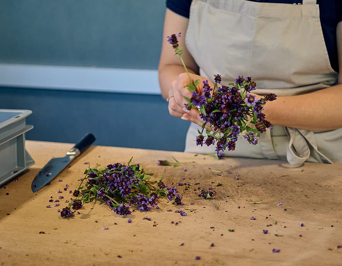 Von der Heilpflanze zur ganzheitlichen Arznei – Die besondere Art der Verarbeitung