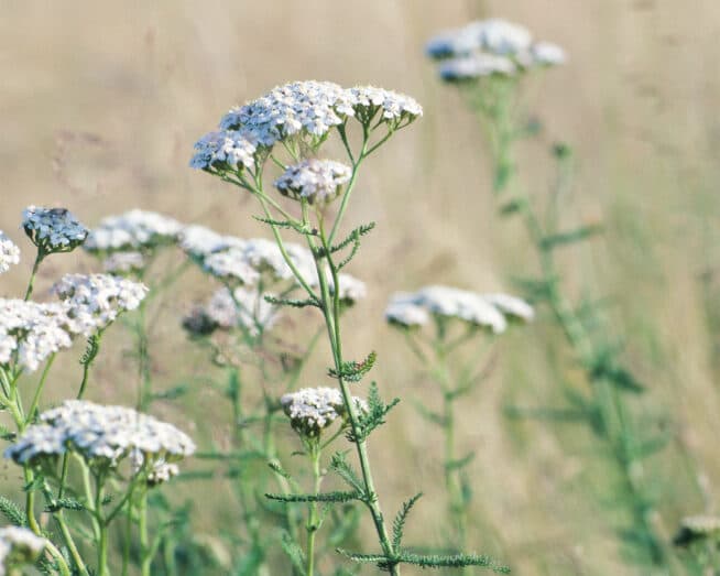 Wandelzeiten, Schwellenzeiten - Transformationsprozesse in Frauenleben