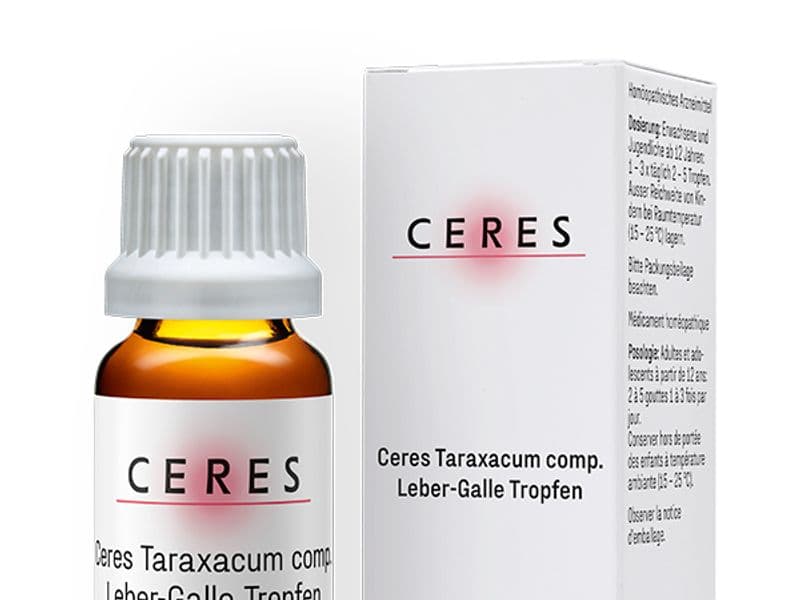 Löwenzahn (Taraxacum officinale)