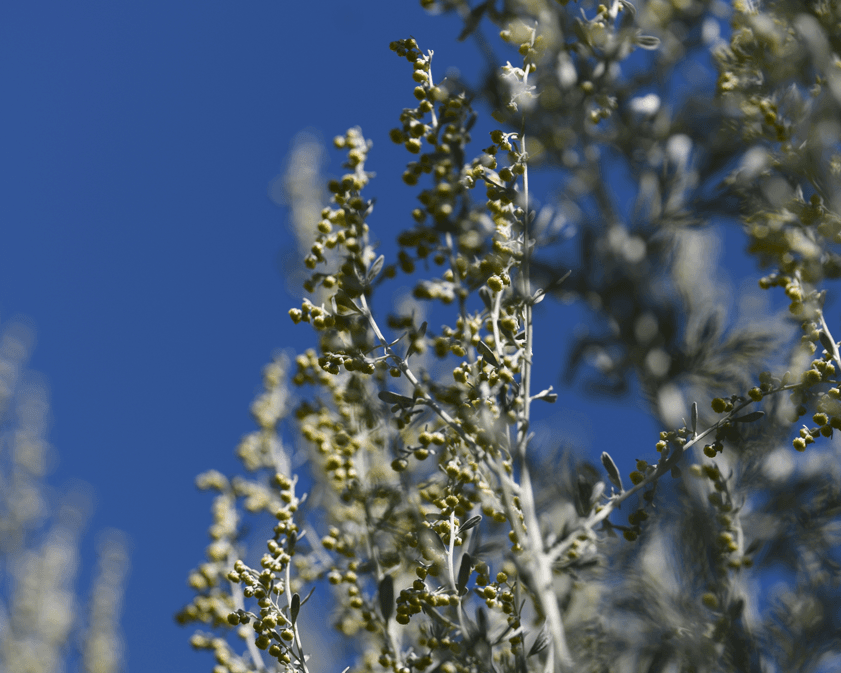 Test Import Präsenzseminare DE