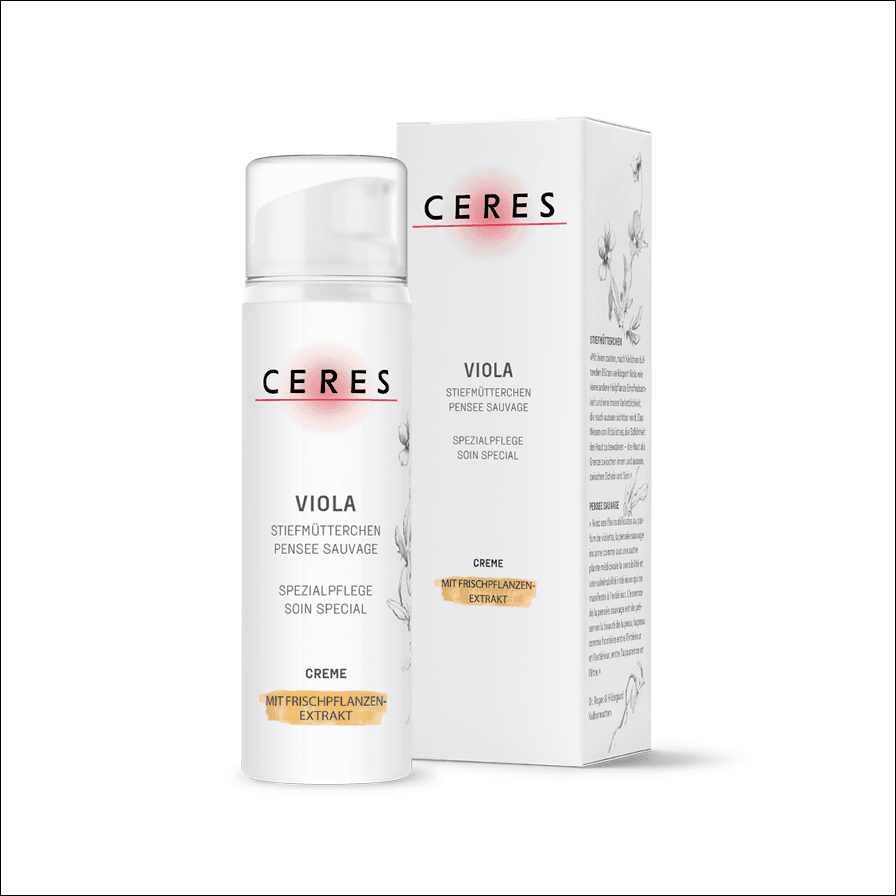 Stiefmütterchen (Viola tricolor)